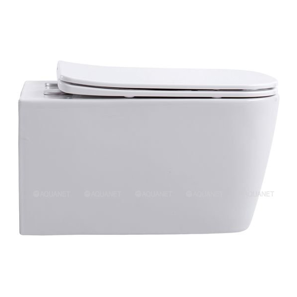 Крышка-сиденье AQUANET Tavr 2.0 W LX 246378 с микролифтом