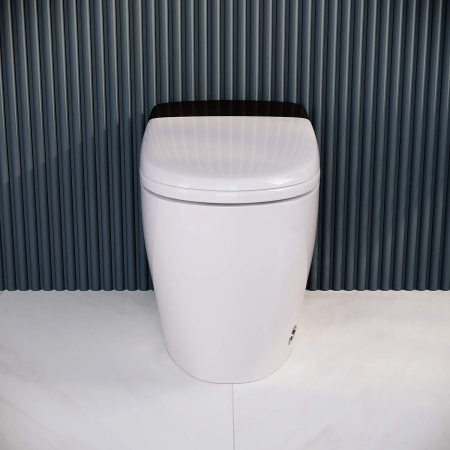 Электронный унитаз RGW SW-31 с сиденьем с микролифтом и функцией биде