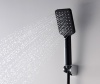 Ручной душ WASSERKRAFT Abens A130