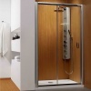 Дверь в нишу RADAWAY Premium Plus DWJ 120 120х190