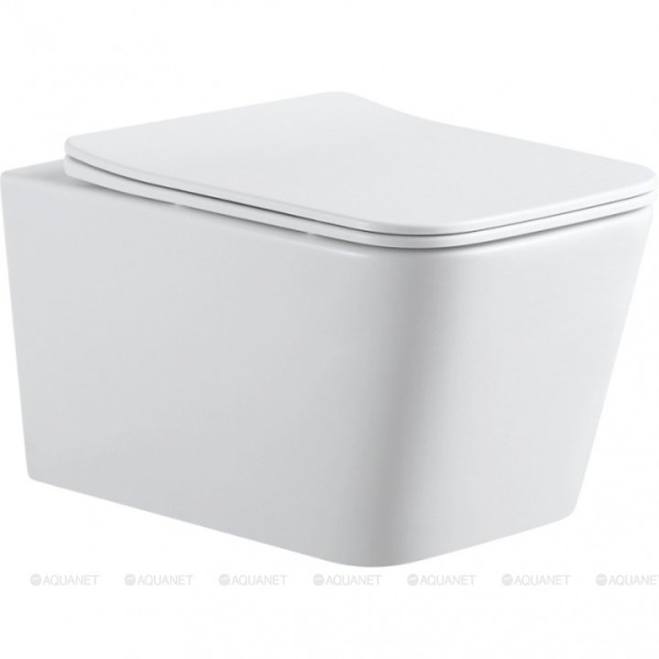 Крышка-сиденье AQUANET Tavr 2.0 W LX 246378 с микролифтом