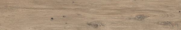 Сальветти капучино обрезной 20x119,5x0,9