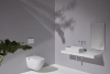 Электронный унитаз LAUFEN Cleanet Riva 820691 с функцией биде