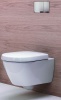Кнопка смыва GEBERIT Sigma60 115.640.GH.1