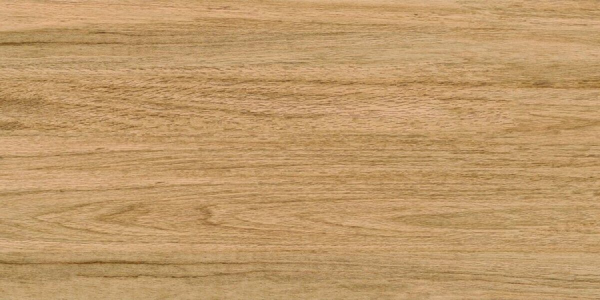 Greenwood Great керамогранит под дерево матовый 120х60см