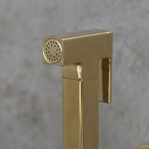 Гигиенический душ LEMARK Solo со смесителем LM7172G золото