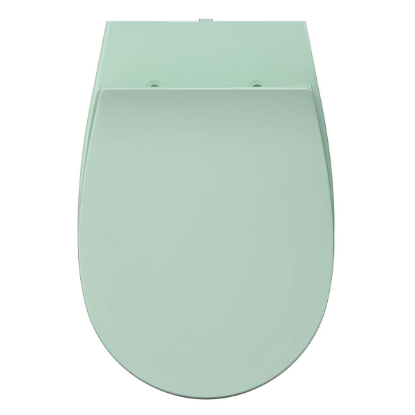 Крышка-сиденье ISVEA Sentimenti Neo 40D40542I-S с микролифтом мятно-зелёная матотвая