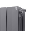 Радиатор ROYAL THERMO PianoForte 300 8С 64/38 БП серебристый матовый