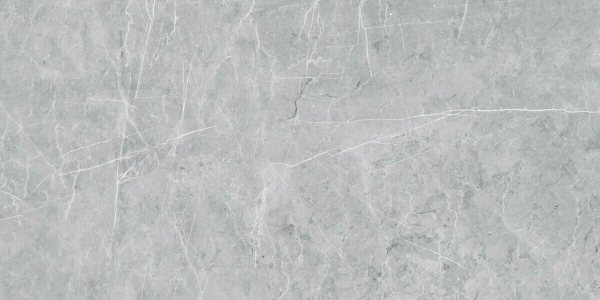 Vision Grey VS02 серый полированный керамогранит 60х120см Estima