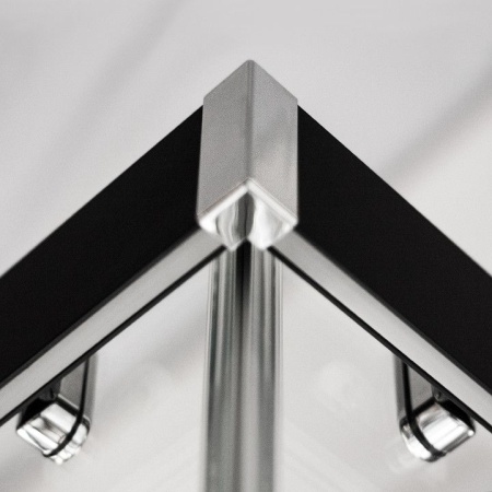 Дверь для комбинации ROTH Exclusive Line ECS2L 80х205 профиль black elox L