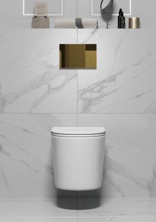 Кнопка смыва TONI ARTI Noche TA-0045 золото глянец