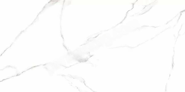Carrara керамогранит светло-серый матовый 60х120см Alma Ceramica GFU60120CRR00R