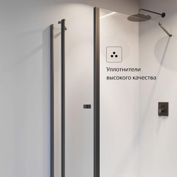 Дверь в нишу ROCA Capital 100x195 черная матовая